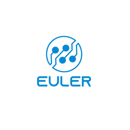 Euler AYC